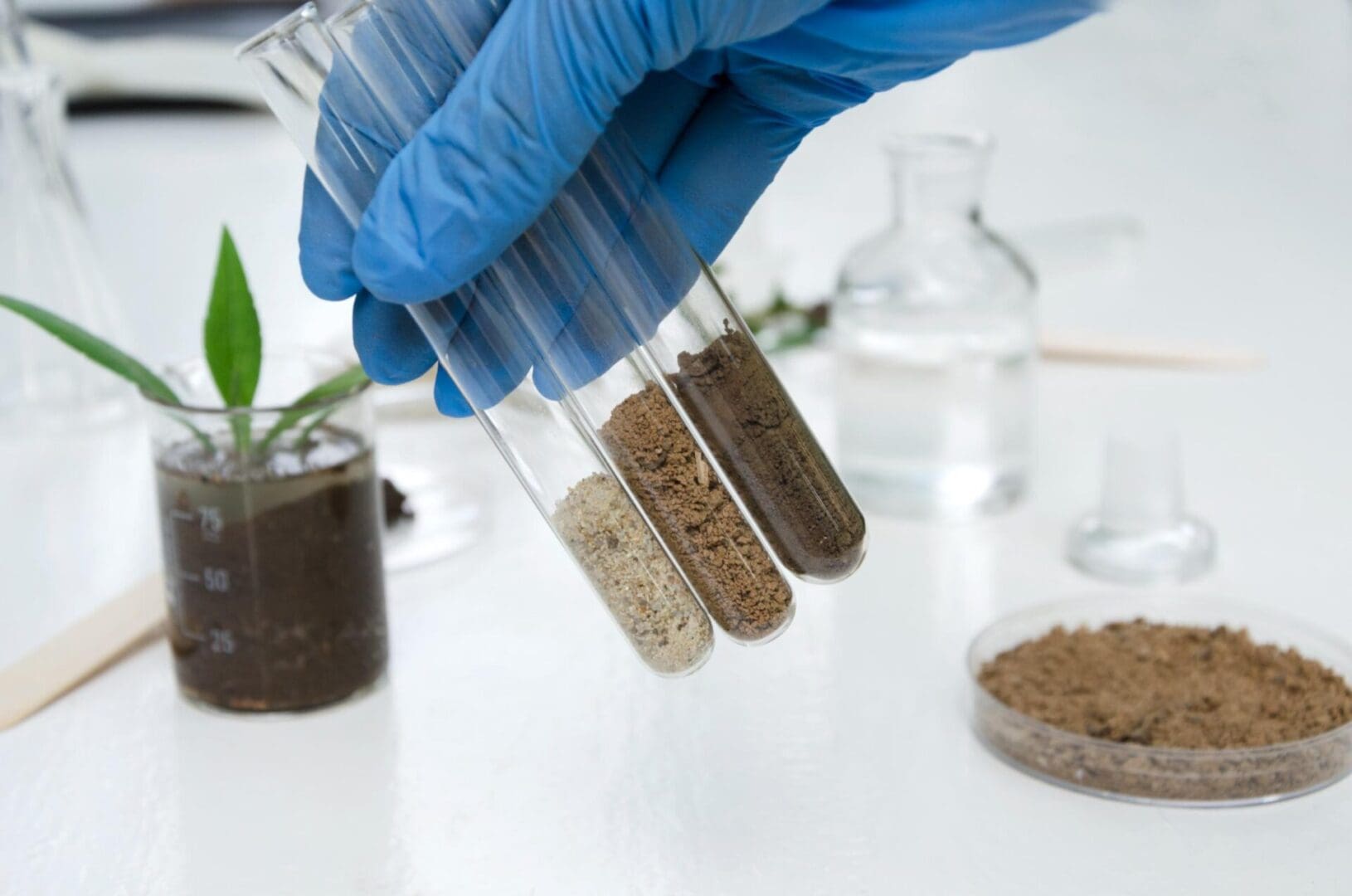 A gloved hand holds test tubes with soil samples. A beaker with a plant, glassware, and a petri dish with soil are on the table.