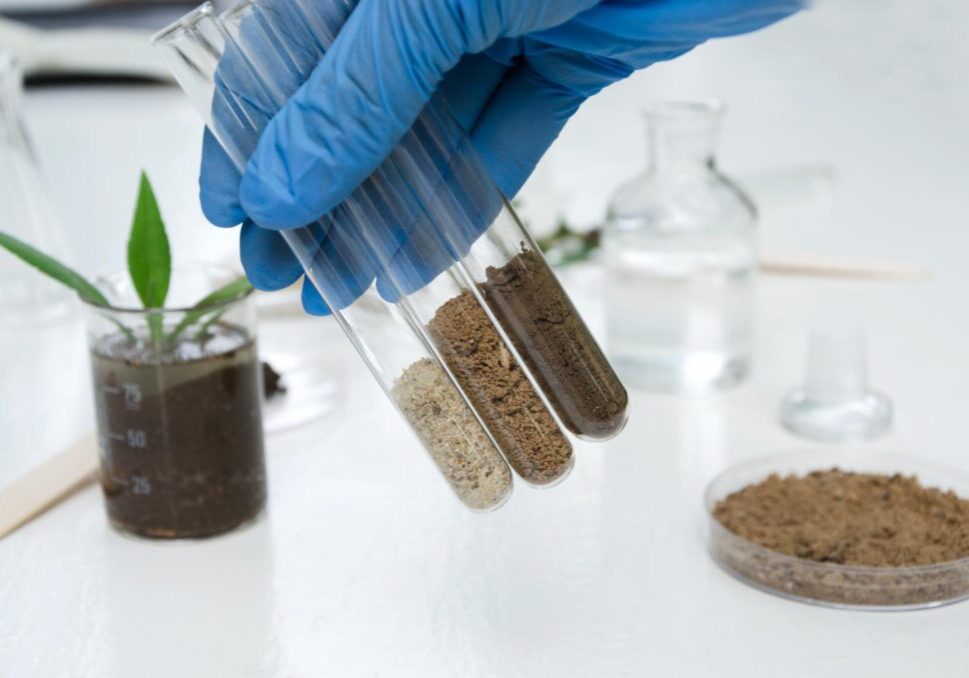 A gloved hand holds test tubes with soil samples. A beaker with a plant, glassware, and a petri dish with soil are on the table.
